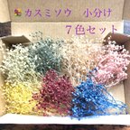 作品【再販♡大人気】かすみそう７色セット 　花材　小分け　　