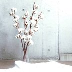 作品【大人気】癒しのコットンフラワー　おしゃれ　ディスプレイ　綿の木　ドライフラワー ホワイト花材　インテリア　海外インテリア　韓国インテリア