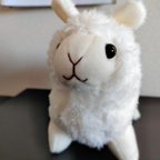 作品ひつじ🐑のぬいぐるみ出来ました🤗