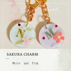 作品SAKURA charm〜まん丸〜