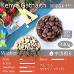 作品ケニア ガタイティ 400g "ジューシーなデザートタイプ" 複雑な表情 トップスペシャルティコーヒー 送料無料