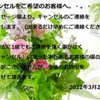 作品🌹最新号☆22.3.22追記🌹キャンセルをご希望のお客様へ。・。・