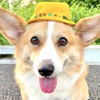 作品中型犬用やわらかヘルメット風帽子【名入れできる！】ワンちゃんのコスプレ仮装