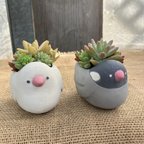 作品アニマルテラコッタ　文鳥セット　多肉&セダム寄せ植え