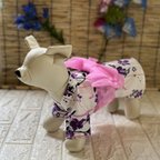 作品犬服浴衣  コスモス パープル　帯色選べる　SSサイズ　　ハンドメイド