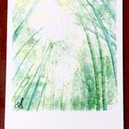 作品ポストカード【竹の木漏れ日】5枚セット 水彩画手描き