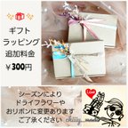 作品🎁 ギフト ラッピング プレゼント ピアス イヤリング アクセサリー ご購入の方へ🎁