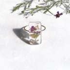 作品Gypsophila ring