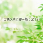 作品ꕤ.重要.ꕤ ご購入前にご一読下さい！