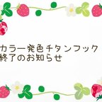 作品⚠️カラー発色チタンフック終了のお知らせ