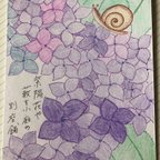 作品紫陽花💫