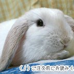 作品🐰ご注文前に必ずお読みください。