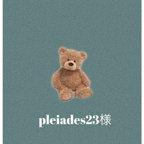 作品pleiades23様専用　テーブルナンバー　