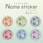 作品ニュアンスカラー　Name sticker サッカーボール　6色1シート／耐水・耐光・強力粘着