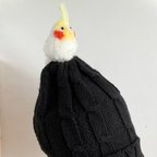 作品もけもけオカメインコさんonニット帽