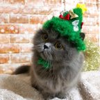 作品 きらふわ🎄ツリー帽子🐱猫、小型犬用