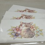 作品猫とお花のポストカード３枚入り　No.２