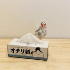 作品オチリ紙(1箱) ※3箱以上のお買い上げは別ページをご覧ください