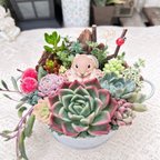 作品【送料無料】可愛い♡お座りうさぎさん♪多肉植物寄せ植え　プレゼント