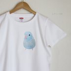 作品p-jet　マメルリハ ブルーパステル  Tシャツ  /  鳥 インコ