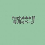 作品tgch＊＊＊様専用のページ