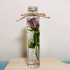 作品ピンクの薔薇とかすみ草のハーバリウム