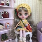 作品ミディブライス サイズアイシードールカスタム　dollのみ