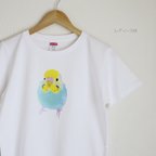 作品p-jet　セキセイインコ  （レインボー ろうまくピンク） Tシャツ　 / 鳥　インコ 