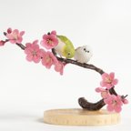 作品シマエナガとメジロ　梅の花【部屋の中で野鳥観察シリーズ】