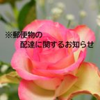 作品追記あり＊普通郵便等の土曜日配達休止・お届け日数の繰り下げのお知らせ