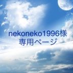 作品nekoneko1996様専用