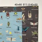 作品40×60 40×50 昆虫大百科　ランチョンマット　カラーが選べる 昆虫ランチョンマット男の子　むし　虫