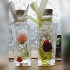 作品ハーバリウムセット　薔薇（赤・ピンク）紫陽花（白）かすみ草（ピンク）