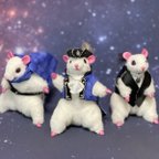 作品宇宙探検隊　チームバルバロス🐹