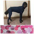 作品ぼかしドットピンク 犬用全身スーツ