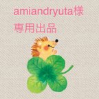 作品amiandryuta様　専用