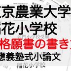 作品小学校受験 お受験 モンテッソーリ 願書　東京農業大学稲花小学校 過去問 早稲田実業 慶応幼稚舎 横浜初等部 筑波小