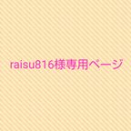 作品【raisu816様専用ページ】 🌺サーフボード&オーナメントセット🌺    