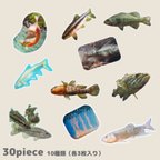 作品おさかなシールフレーク〔バスすきすきパック〕30pcs