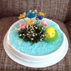 作品送料無料‼️インコのフラワードーム🌺湿度花(湿度で開閉するﾄﾞﾗｲﾌﾗﾜｰ)　F61