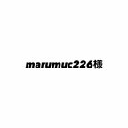 作品marumuc226様専用ページです。