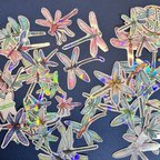 作品Glassy Rainbow Dragonflies Collection Set of 72 pieces
