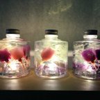 作品【送料無料】薔薇のハーバリウム★ゴールドパープル