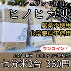 作品【お試しサイズ】【七分づき】新米 米 お米 ヒノヒカリ《無農薬 農薬不使用》ひのひかり お試し 2合 化学肥料不使用 ワンコイン