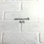 作品sekiasumi様専用