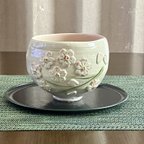 作品桜咲く🌸抹茶茶碗①