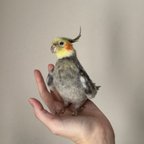 作品オカメインコ  オーダー品