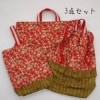 作品手作り ハンドメイド 入園入学3点セット レッスンバッグ シューズケース お着替え袋 体操着袋 女の子 子供 絵本バッグ バッグ 手提げ フルーツ 果物 いちご イチゴ 苺 赤