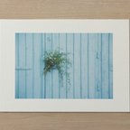 作品「Plant Photography」マーメイド プリント 001