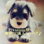 作品Rikamama様　専用ご購入ページ♪